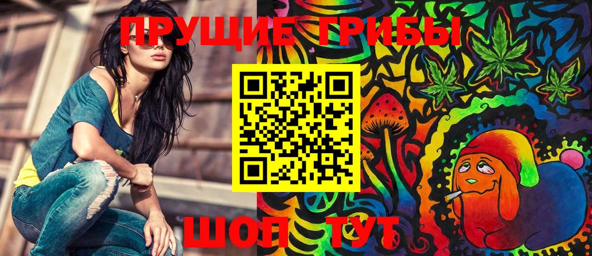 Кулебаки  Галлюциногенные грибы мухоморы  Вход с VPN  Галлюциногенные грибы прущие грибы 